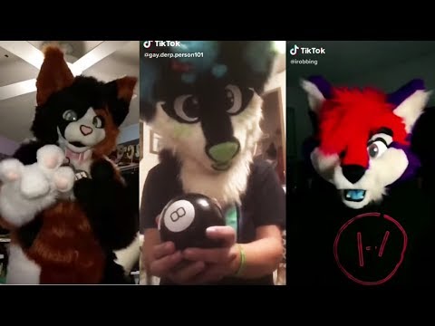 Furry TikTok Cringe